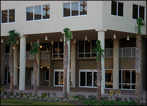 Tidewater Beach Resort FL Rentals